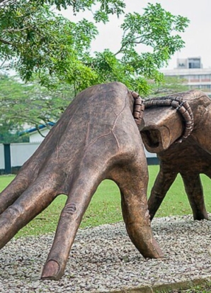 Explore the Rich History of Calabar and How It Shapes Life at Paradise Gardens City Today